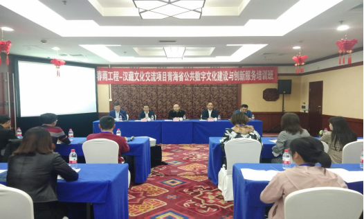 青海省公共数字文化建设与创新服务培训班在长沙开班