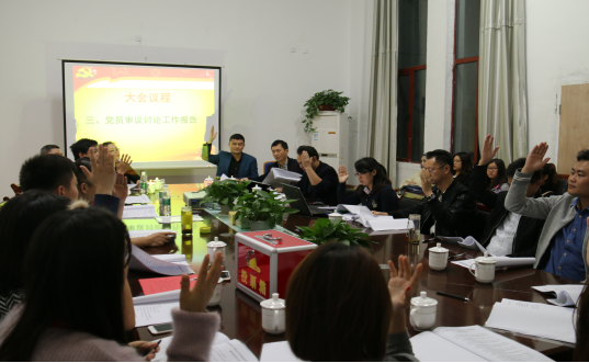 影视系党支部换届选举顺利完成