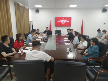 影视系党支部召开专题组织生活会