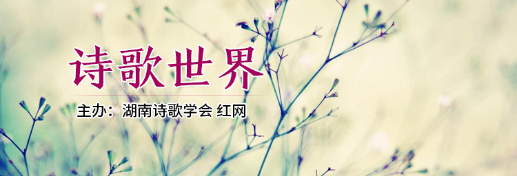 王鹏：请为心中的梦想而启航 让感恩的涟漪在深夜里激荡