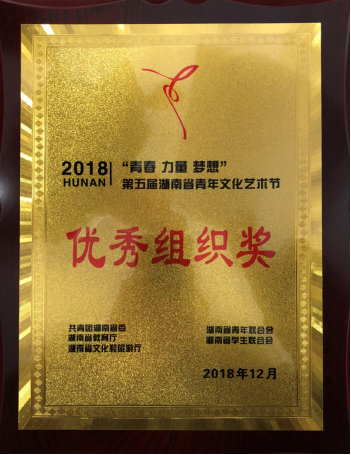 我院在第五届湖南省青年文化艺术节中喜获佳绩