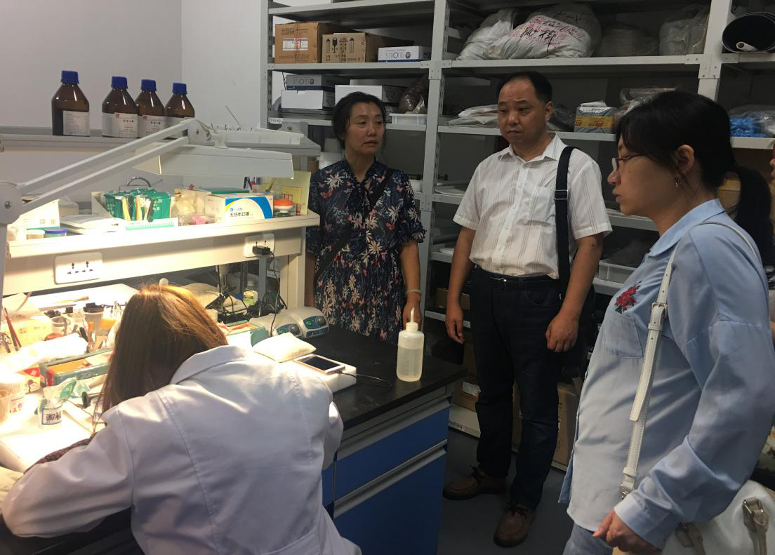 社文系赴省文物考古研究所调研