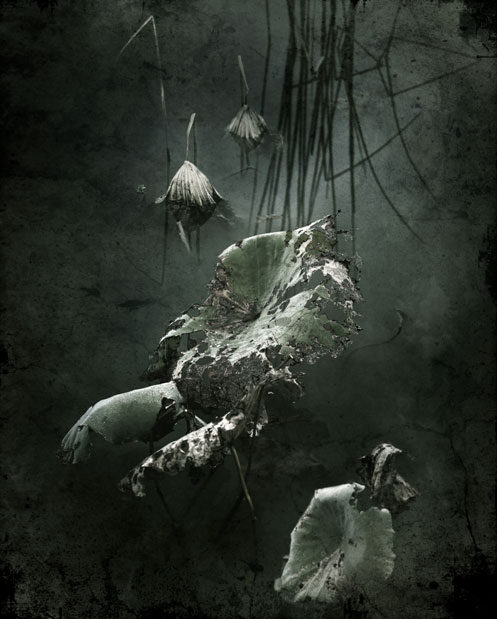 李发学老师荣获“第十届全国高校摄影艺术展”二等奖