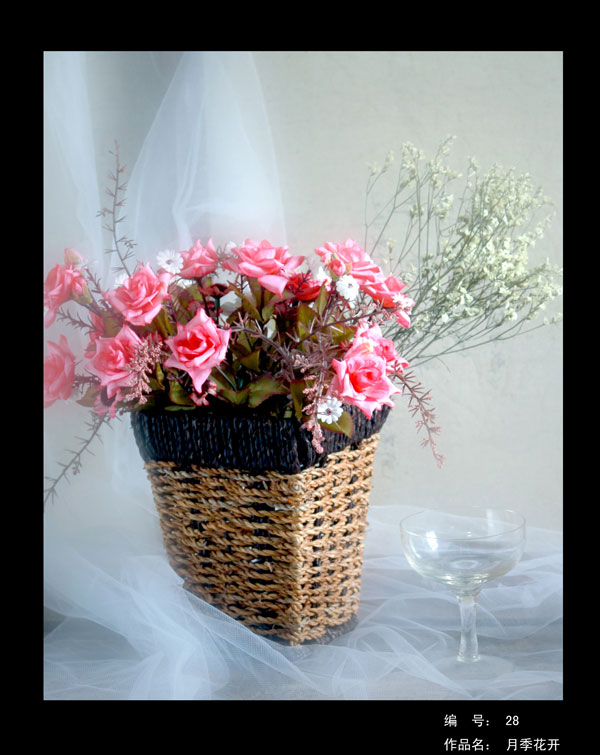 影视系学生作品在湖南省高等学校第七届摄影艺术大赛中喜获佳绩